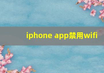 iphone app禁用wifi